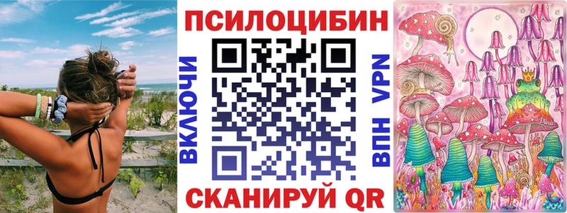Псилоцибиновые грибы Psilocybe  где купить наркоту  Южа 